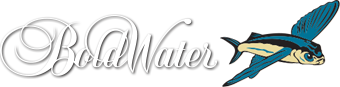 Marine Logos, Websites, T-Shirts, Boat Lettering, - BoldWater