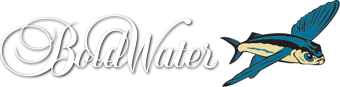Marine Logos, Websites, T-Shirts, Boat Lettering,  - BoldWater