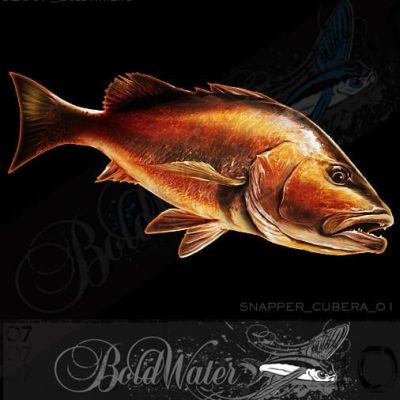 BoldWater